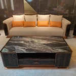 Luxury Marble Coffee Table with Curved Wood Veneer Detailing